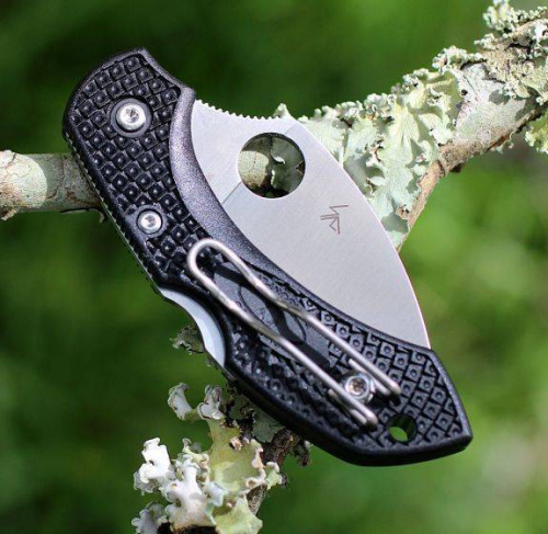 Складной нож Spyderco Dragonfly 2 Wharncliffe C28FPWCBK2 фото 14